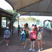 IMG_7534 IMG_7534