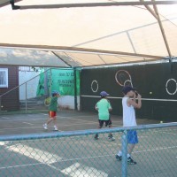 IMG_7554 IMG_7554